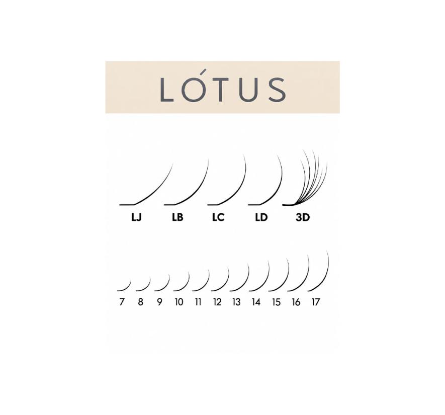 Ресницы Vilmy Lotus, черные, MIX 20 линий